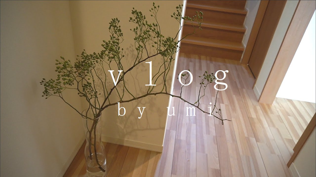Vlog暮らし｜平日の掃除ルーティン/紅茶の時間/簡単な昼食/のばら購入