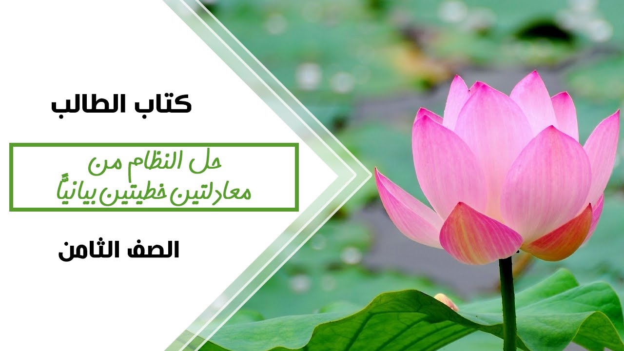 رياضيات الصف الثامن | حل نظام من معادلتين خطيتين بيانيا - كتاب الطالب