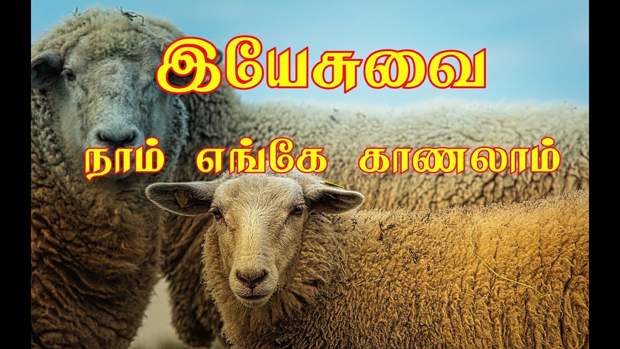 இயேசுவை நாம் எங்கே காணலாம் | Yesuvai Naam Engae Kanalam |