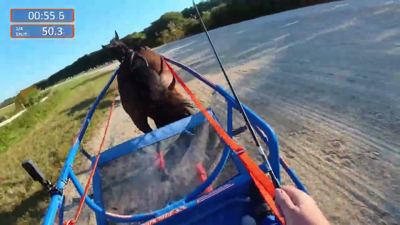2026 Racing Season   Unhynged Grit 20260124