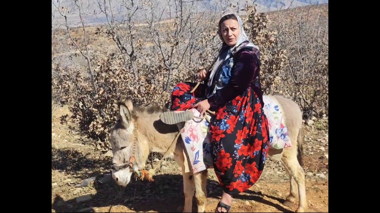 Donkey Riding with a Heavy Woman – Strength Test! #donkeyriding #ponyriding #esel #sexyriding