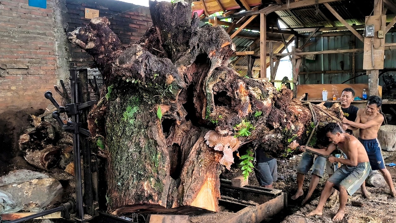 Monster Toyota Forklift And Heavy Equipment In Industrial Sawmill