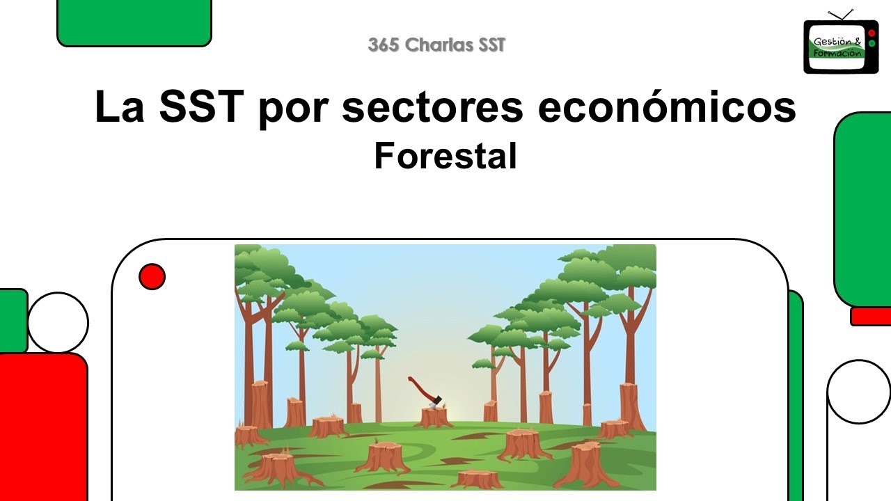 SST en el  Sector Forestal