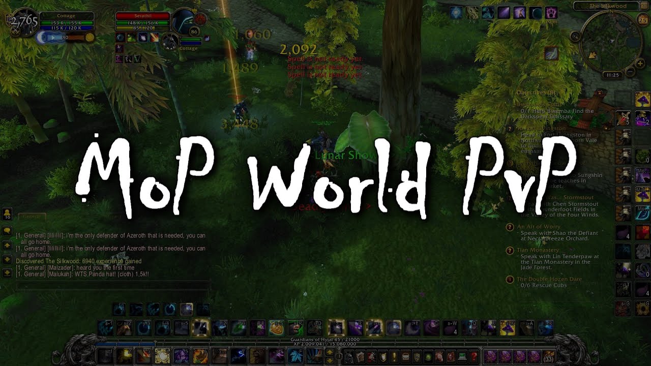 WORLD PVP in MoP