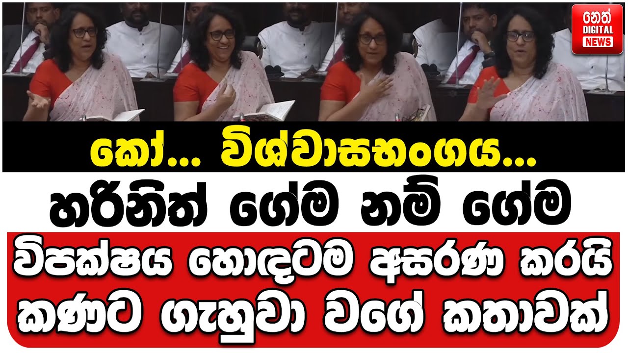 කෝ... විශ්වාසභංගය... | හරිනිත් ගේම නම් ගේම | විපක්ෂය හොඳටම අසරණ කරයි | කණට ගැහුවා වගේ කතාවක්