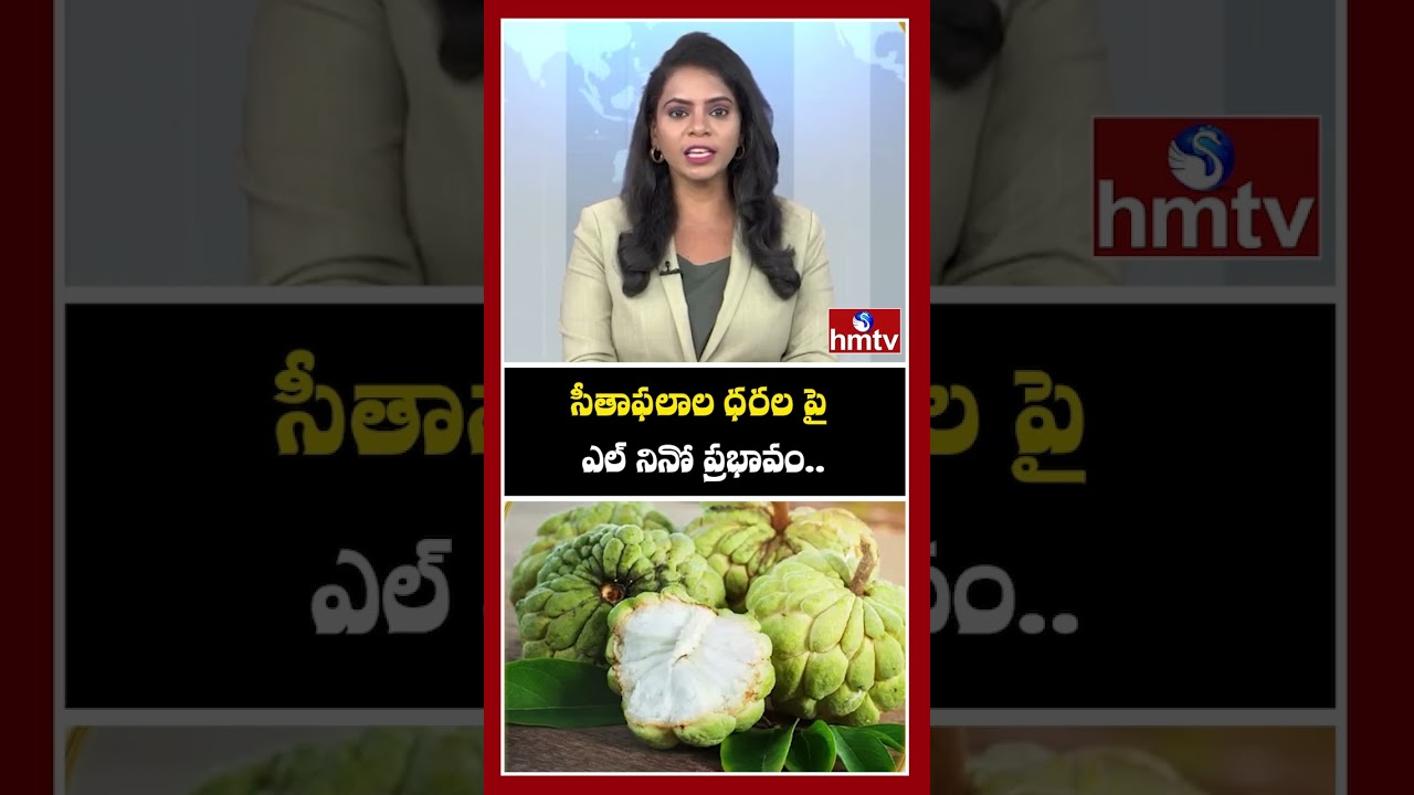 సీతాఫలాల ధరల పై ఎల్ నినో ప్రభావం..