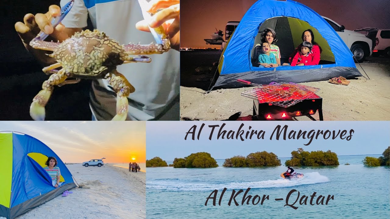 Al Thakira Mangrove Al Khor -Qatar | #beach | #tenting | #crabhunting | #fishing | #grilling