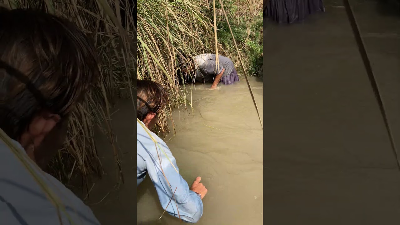 Tu khinch Meri photo😎 #funny #funnyanimal #viralvideo #comedy #vlog #ytshorts #youtube #fishing