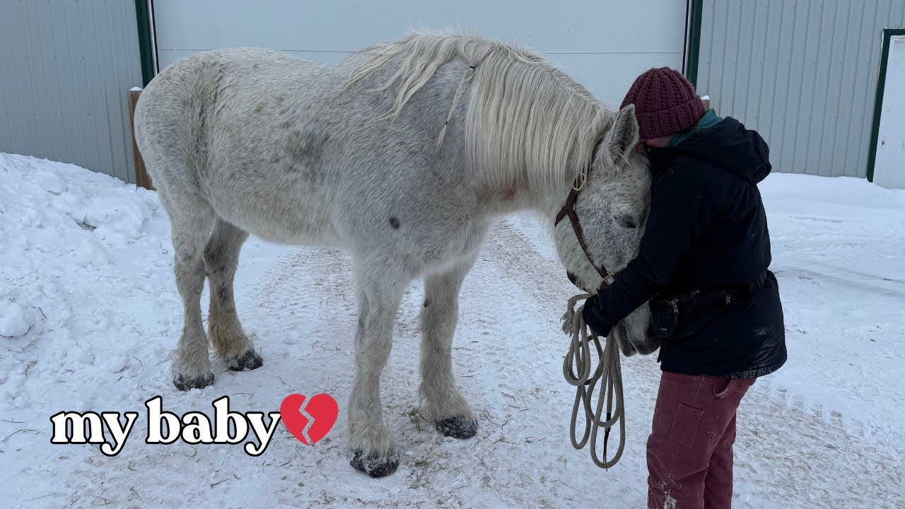 Полли скончалась💔
