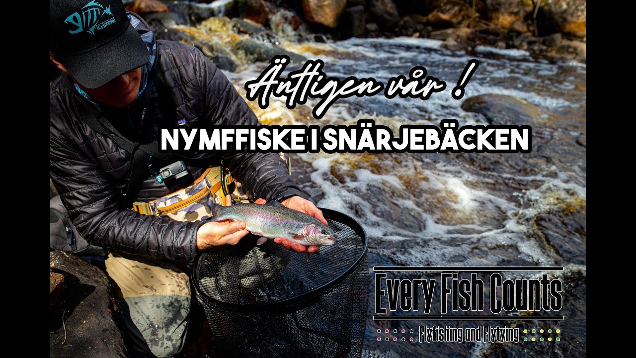 Äntligen vår! Nymffiske i Snärjebäcken - Flugfiske