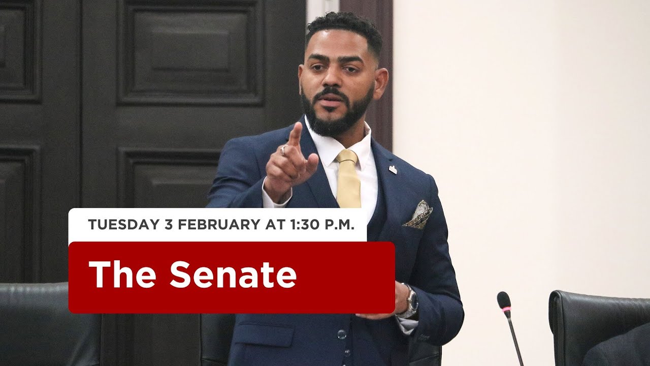 20th Sitting of the Senate - 1st Session - 13th Parliament - February 3, 2026