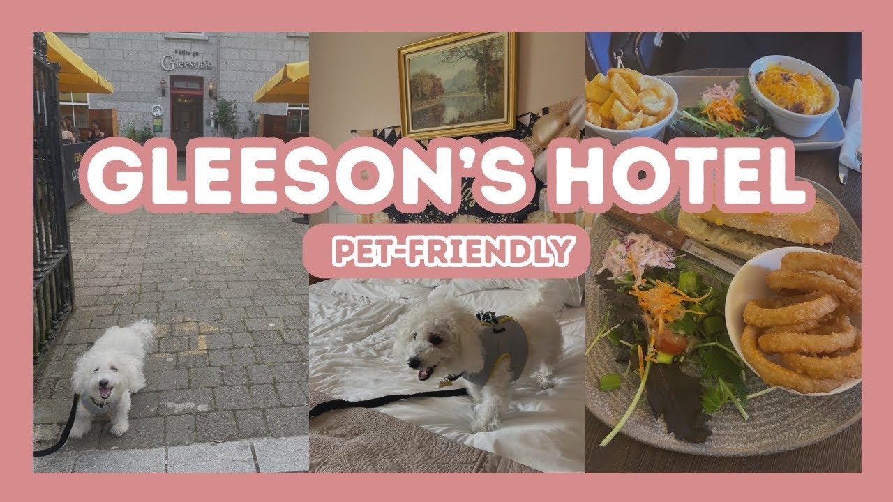Gleeson&rsquo;s Hotel | Pet-Friendly Hotel In Roscommon