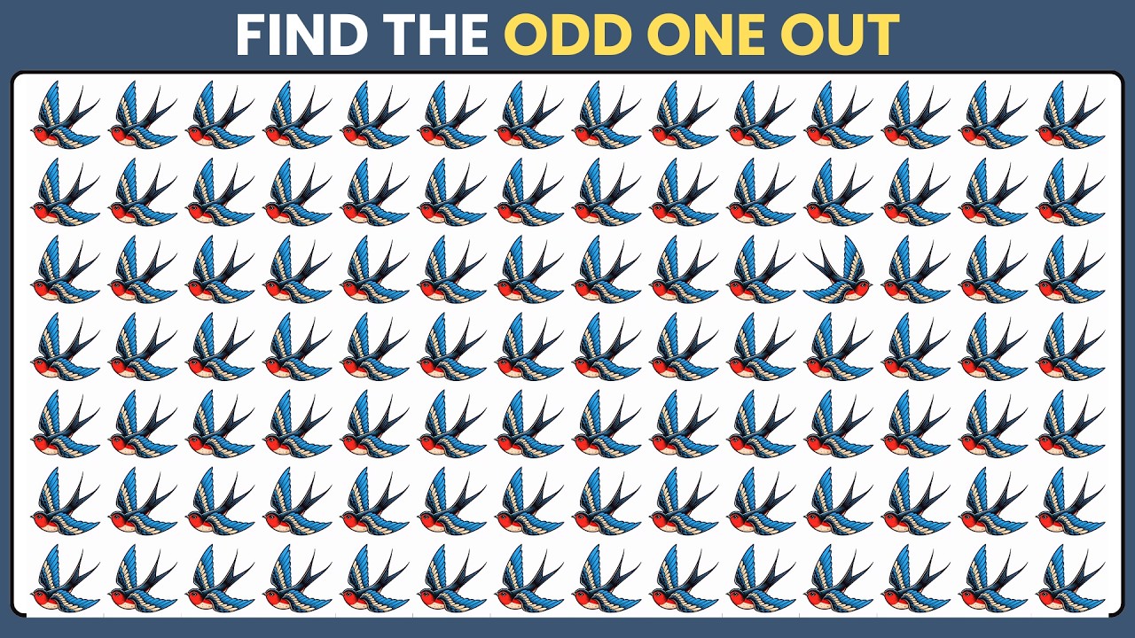 Can You Spot the Odd One Out? Try Not to Fail 😱