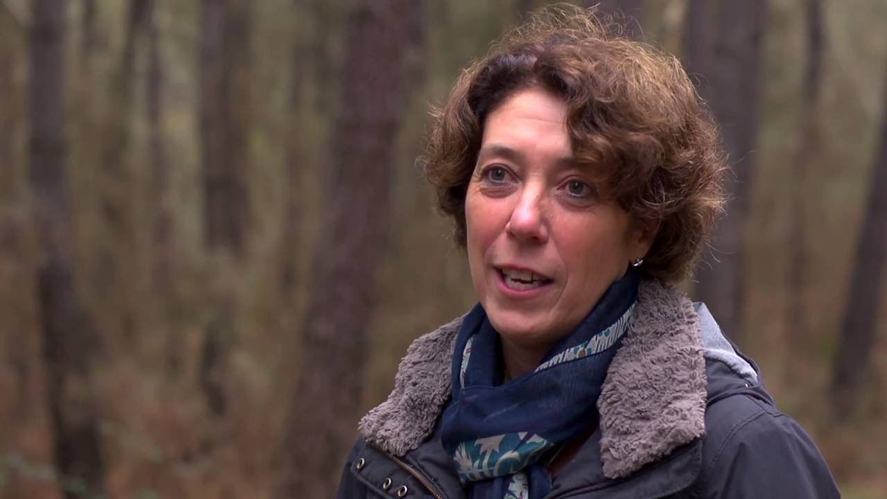 Anne, propri&eacute;taire forestier en Gironde
