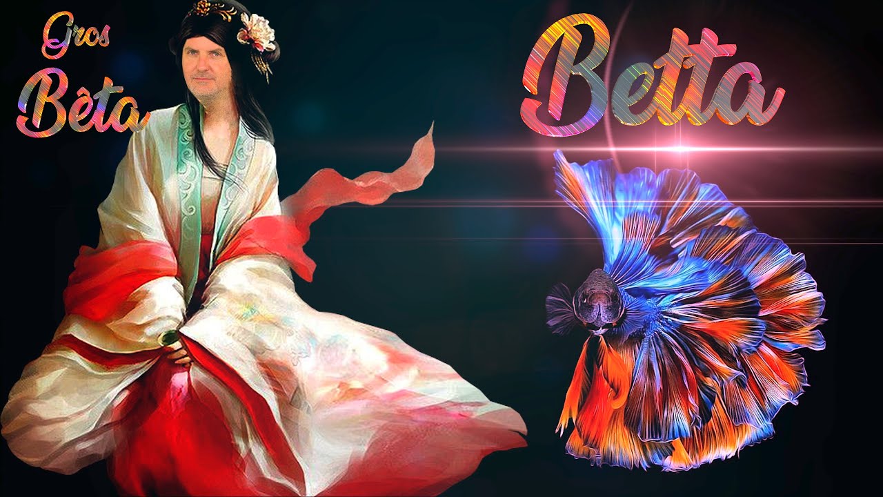 Les Bettas (Floraquatic)
