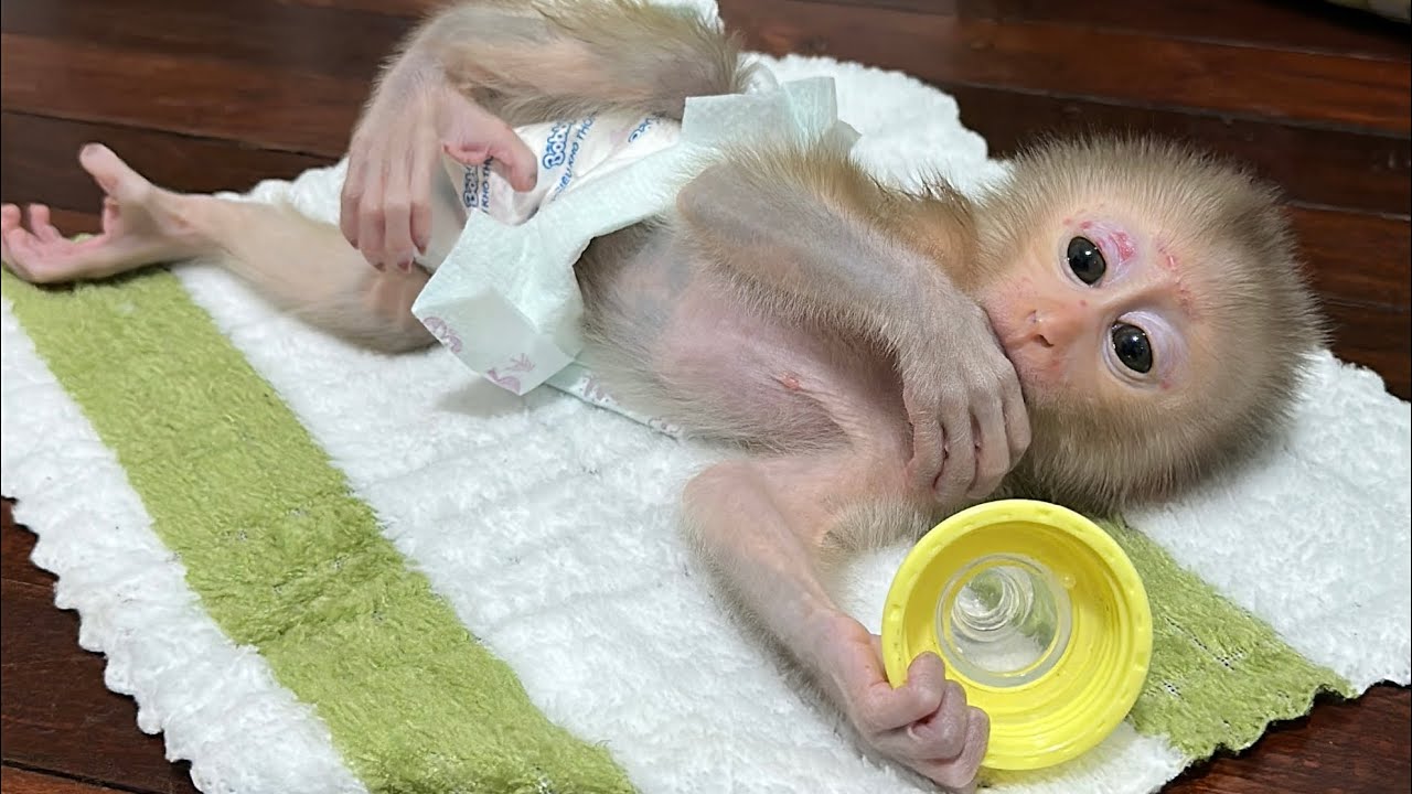 Good morning after little boy takes a shower 🧼 mummy play with him so sweet 🥹 