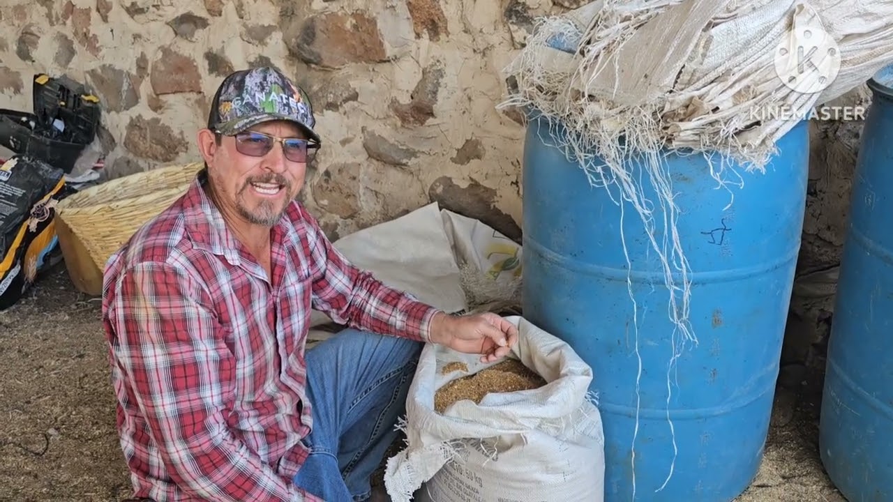 Empezando el año con mucho trabajo 