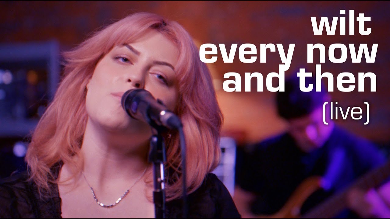 wilt - every now and then (live)
