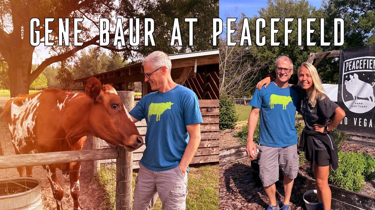 Gene Baur at Peacefield Farm Sanctuary