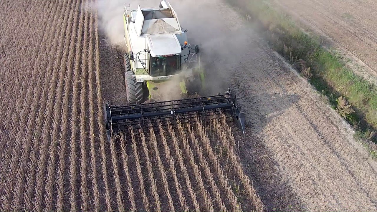 DOMINONI TOP FLEX 610 LEXION 480