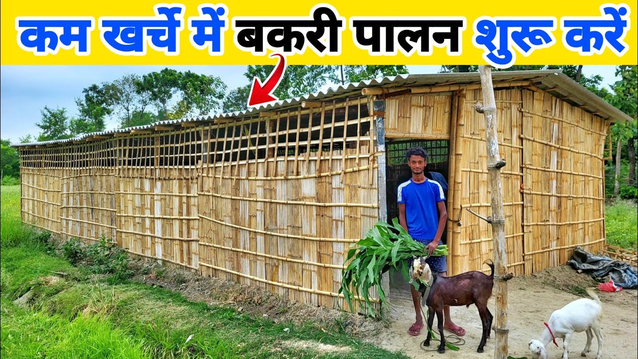 कम खर्चे में बकरी फार्म कैसे बनाएं | Low cost goat farming