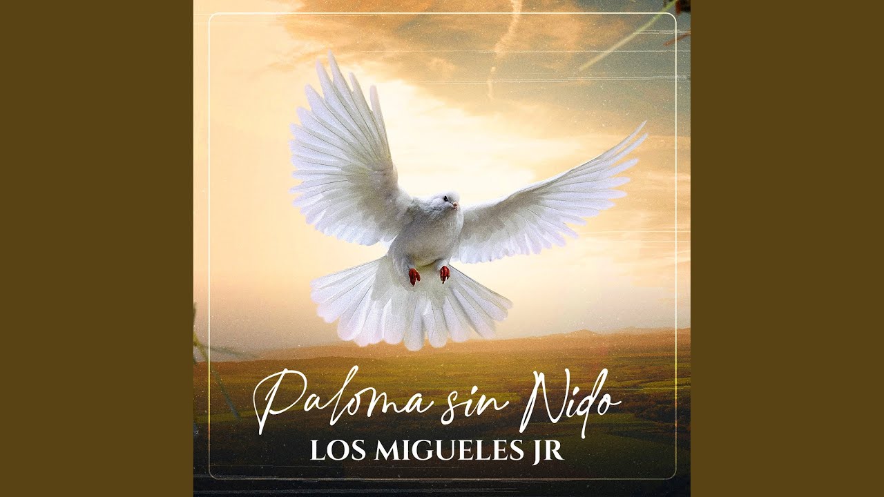 Paloma Sin Nido