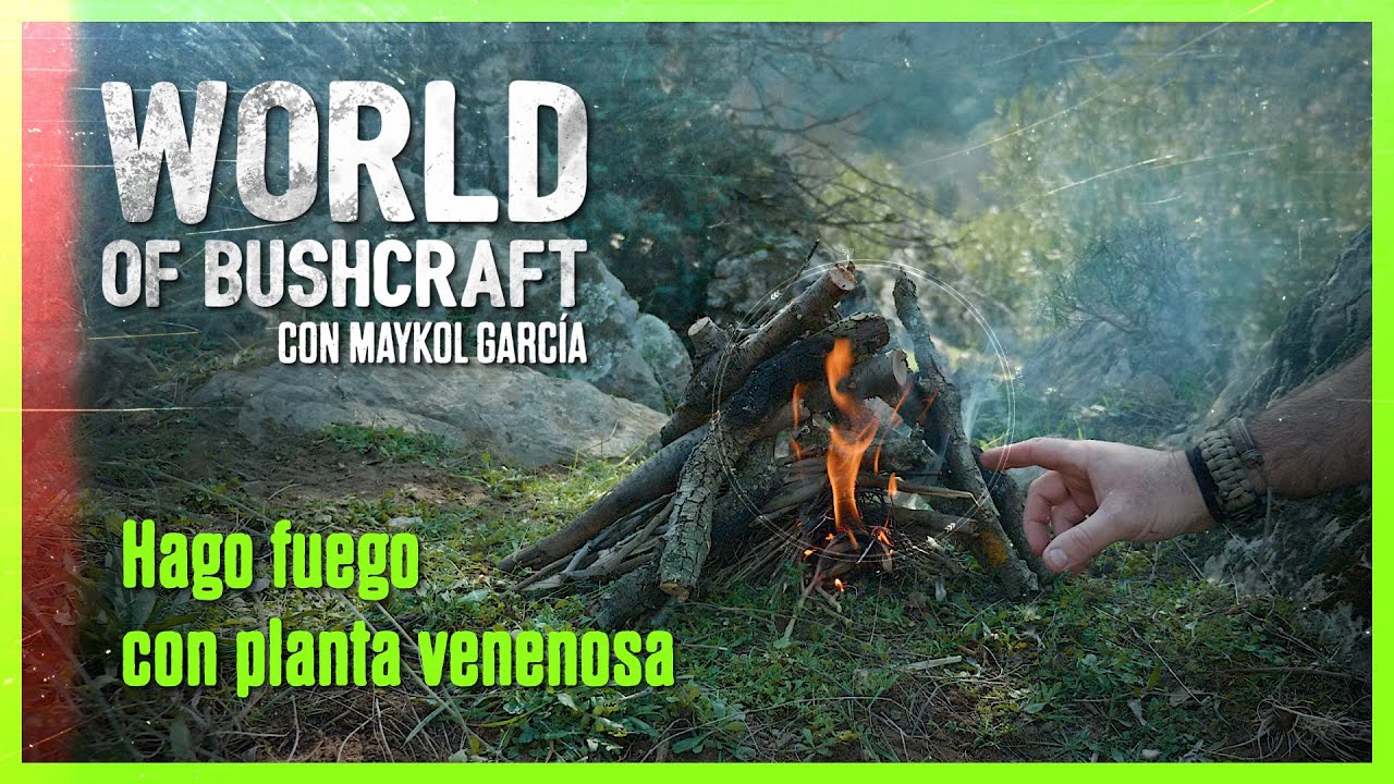 HAGO FUEGO con planta venenosa