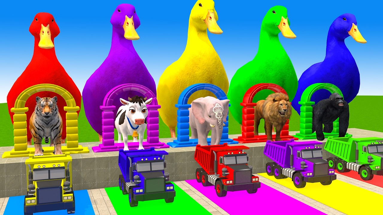 Long Slide Game With Cow Elephant Gorilla Hippopotamus Tiger 3d Animal Game Funny 3d Animals