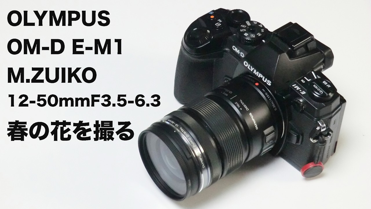 OLYMPUS OM-D EM-1  M.ZUIKO GIGITAL 12-50mm F3.5-6.で撮影して