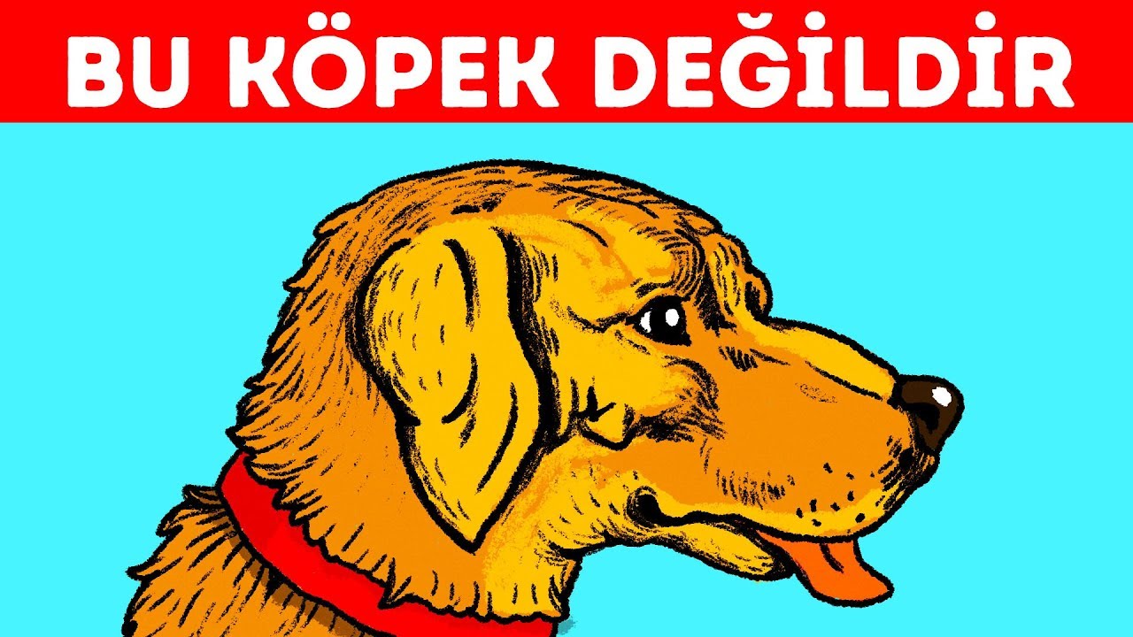 Gözlerinizi Aldatacak 11 Optik İllüzyon