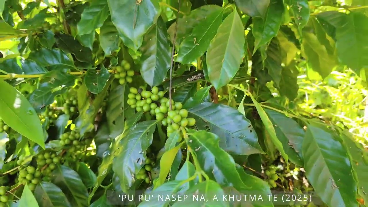 CIINLO