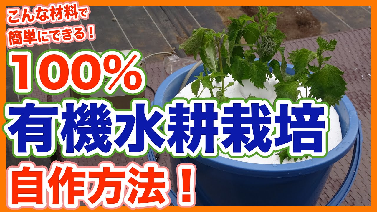 家庭菜園や農園で一度はやってみたい水耕栽培！自宅で簡単！有機100%水耕栽培のコツを徹底解説！/Tips for organic hydroponics from a Japanese farmer.