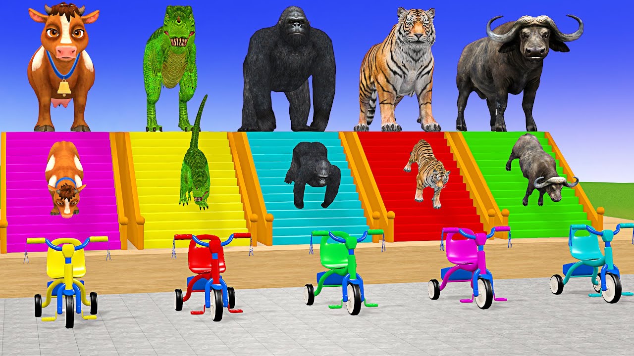 Long Slide Game With Cow Elephant Gorilla Hippopotamus Tiger 3d Animal Game Funny 3d Animals