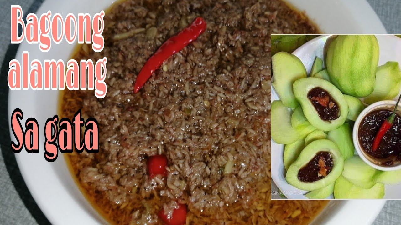 How to cook Bagoong alamang /bagoong alamang sa gata recipe