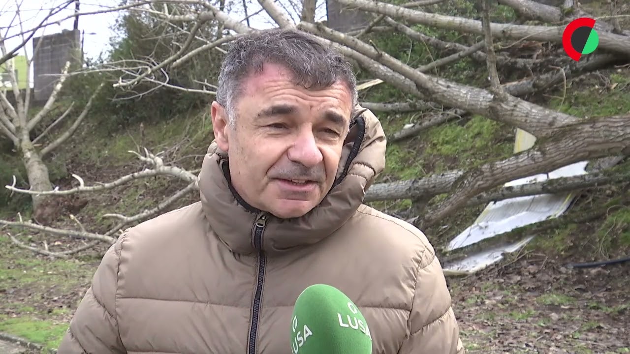 Centenas de voluntários unidos para limpar e reerguer Leiria