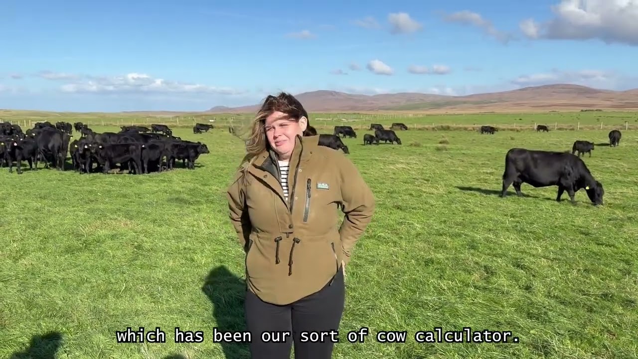 Argyllshire Monitor Farm - Cow Profitability Calculator and Data Use