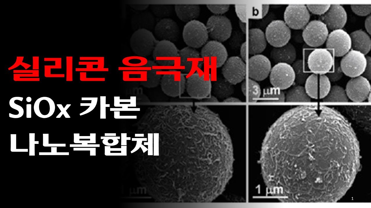 실리콘 음극재, SiOx, 카본 나노 복합체