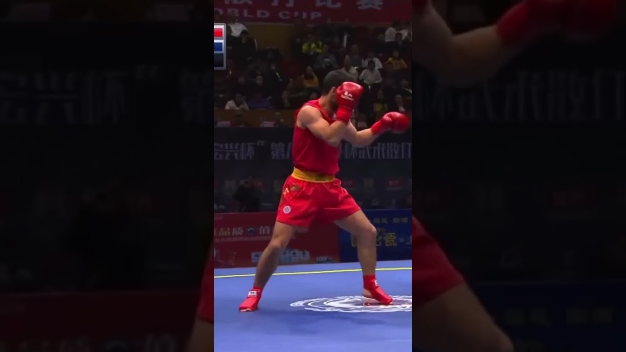 Sanda sanshou real fight highlights #sanda   #wushu #wushusanda #kungfu #mma #fight