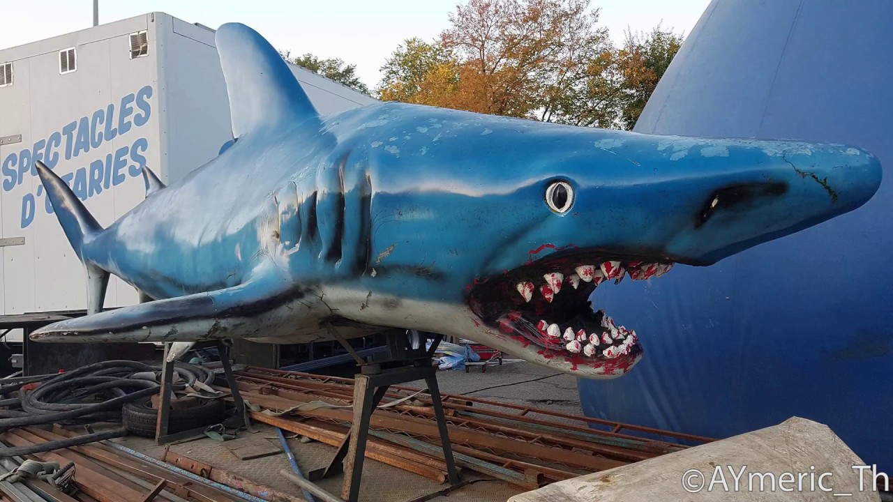 Aquatic Shark 2017