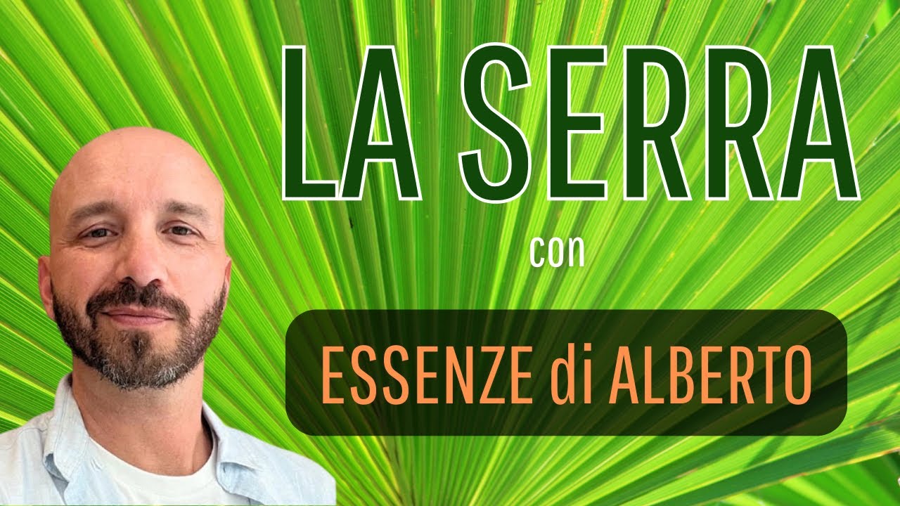 LA SERRA: i figli di Alberto
