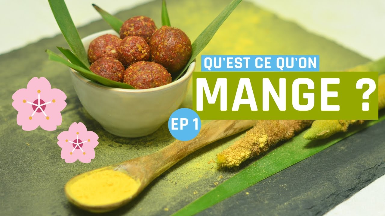 Qu'est ce qu'on mange ? (en jardin foret) ep 1