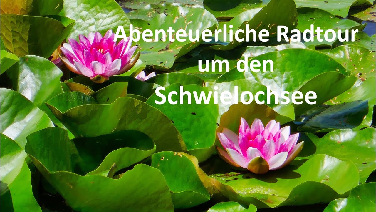 Abenteuerliche Radtour um den Schwielochsee