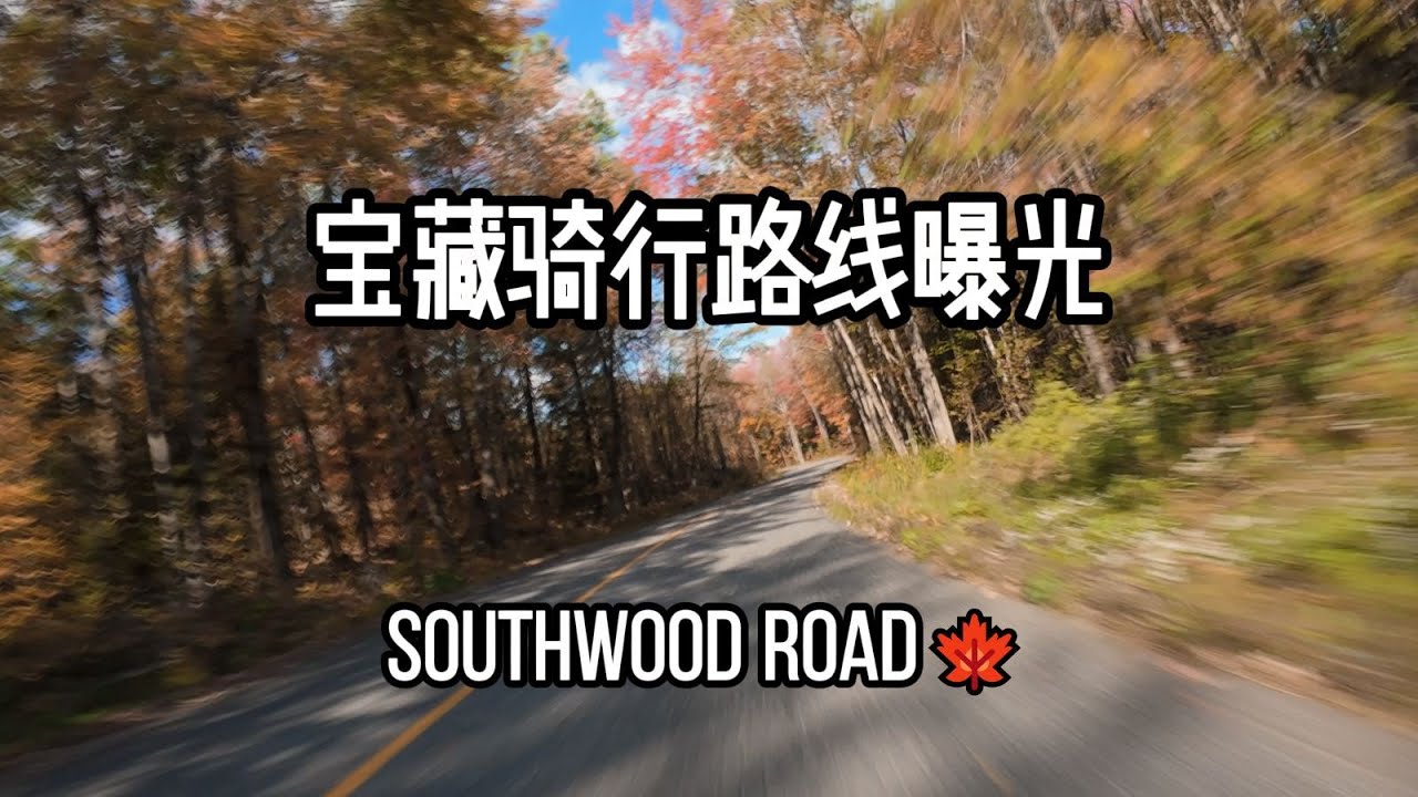 多伦多最美秋日骑行路｜Southwood Road 🍂