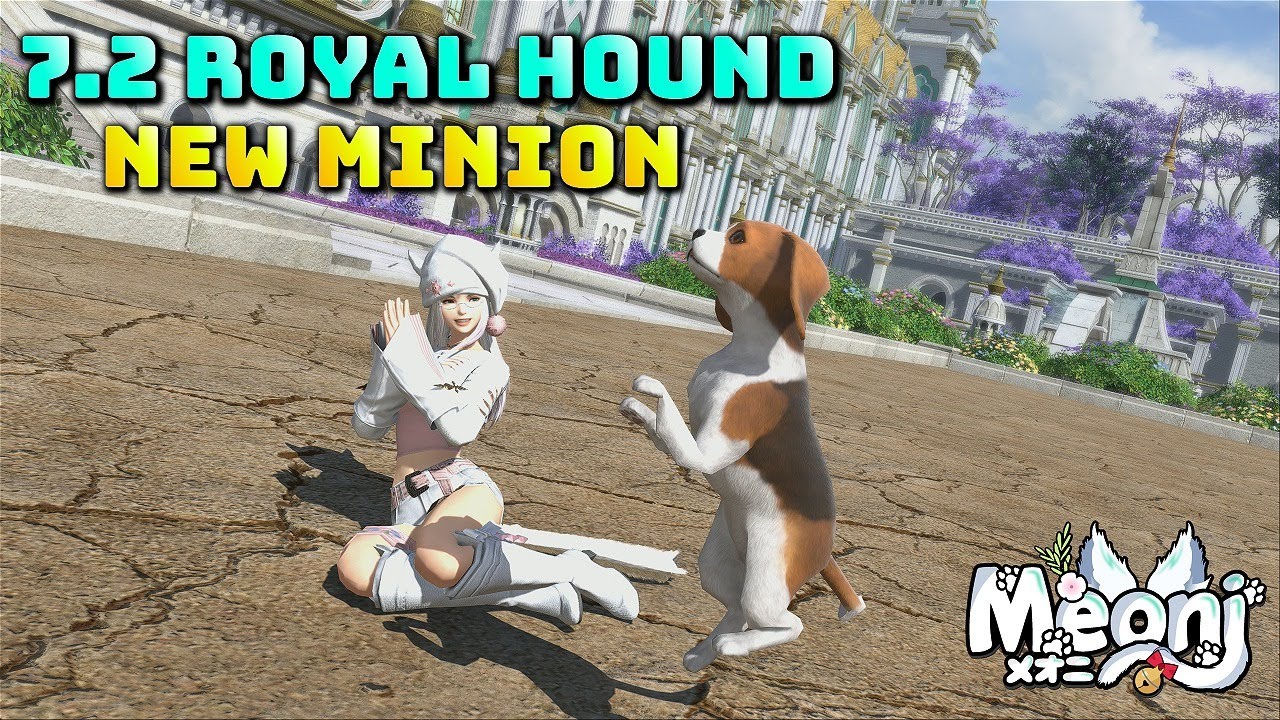 FFXIV: Royal Hound - 7.2 New Minion