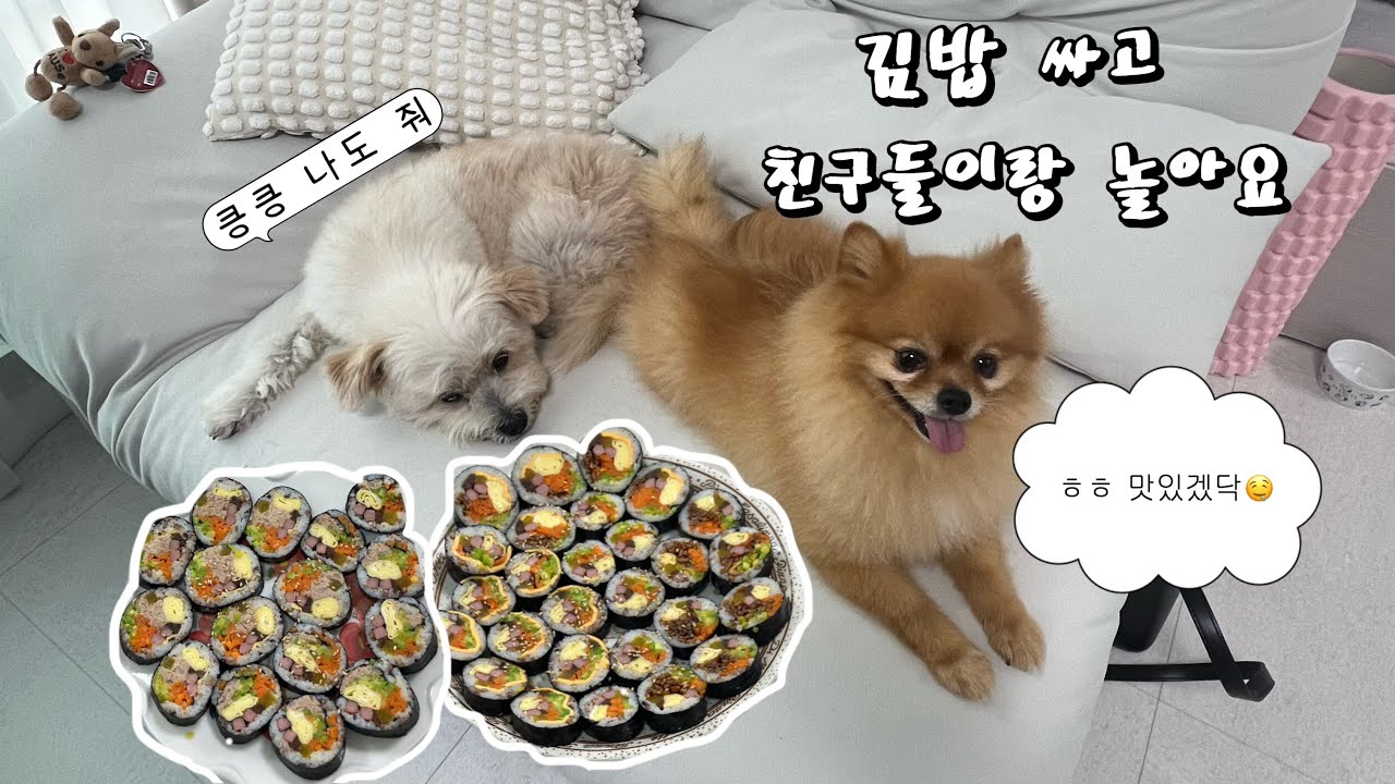 그냥 김밥싸고 노는 영상 🍙