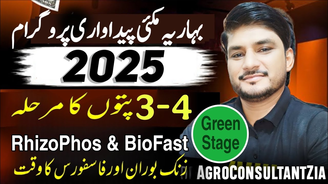 Latest Maize Production Technology | Fertilizer Plan | Biofertilizer Application | 