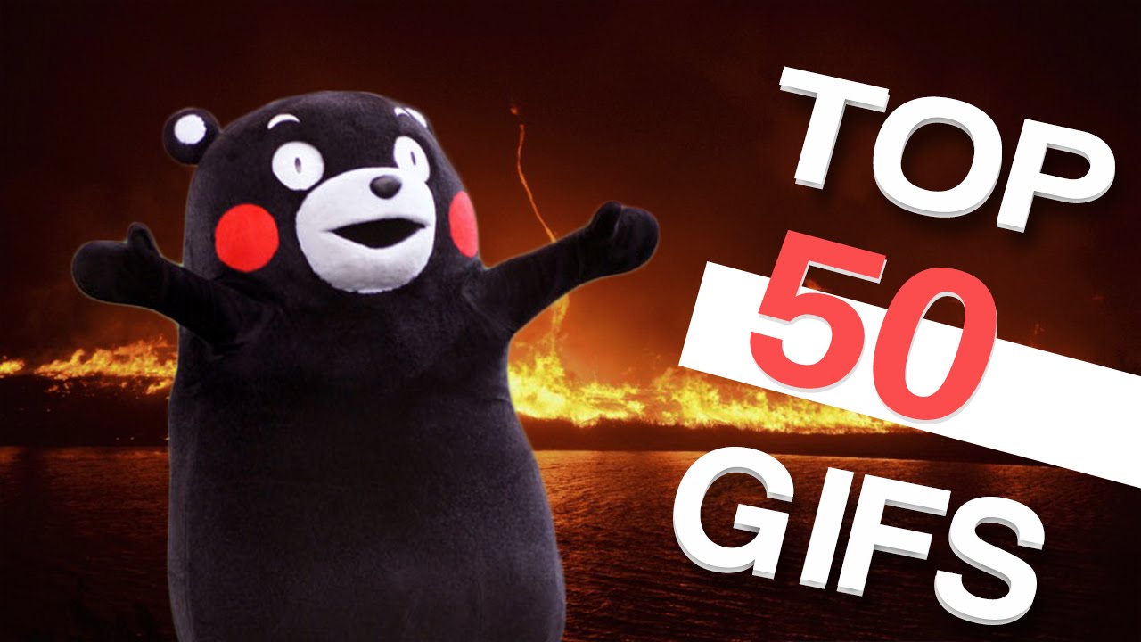 50 Funniest GIFS Of All Time