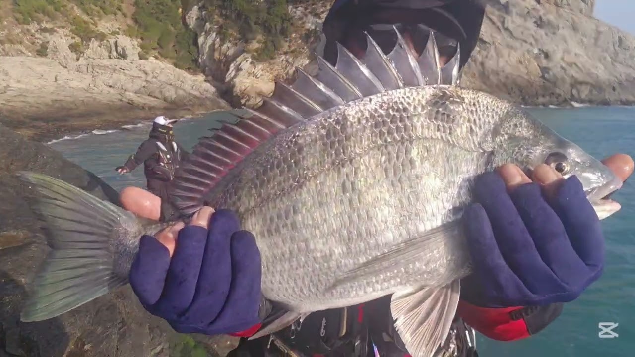 영등철 추자군도 감성돔낚시 1부(주의보뒤) 
