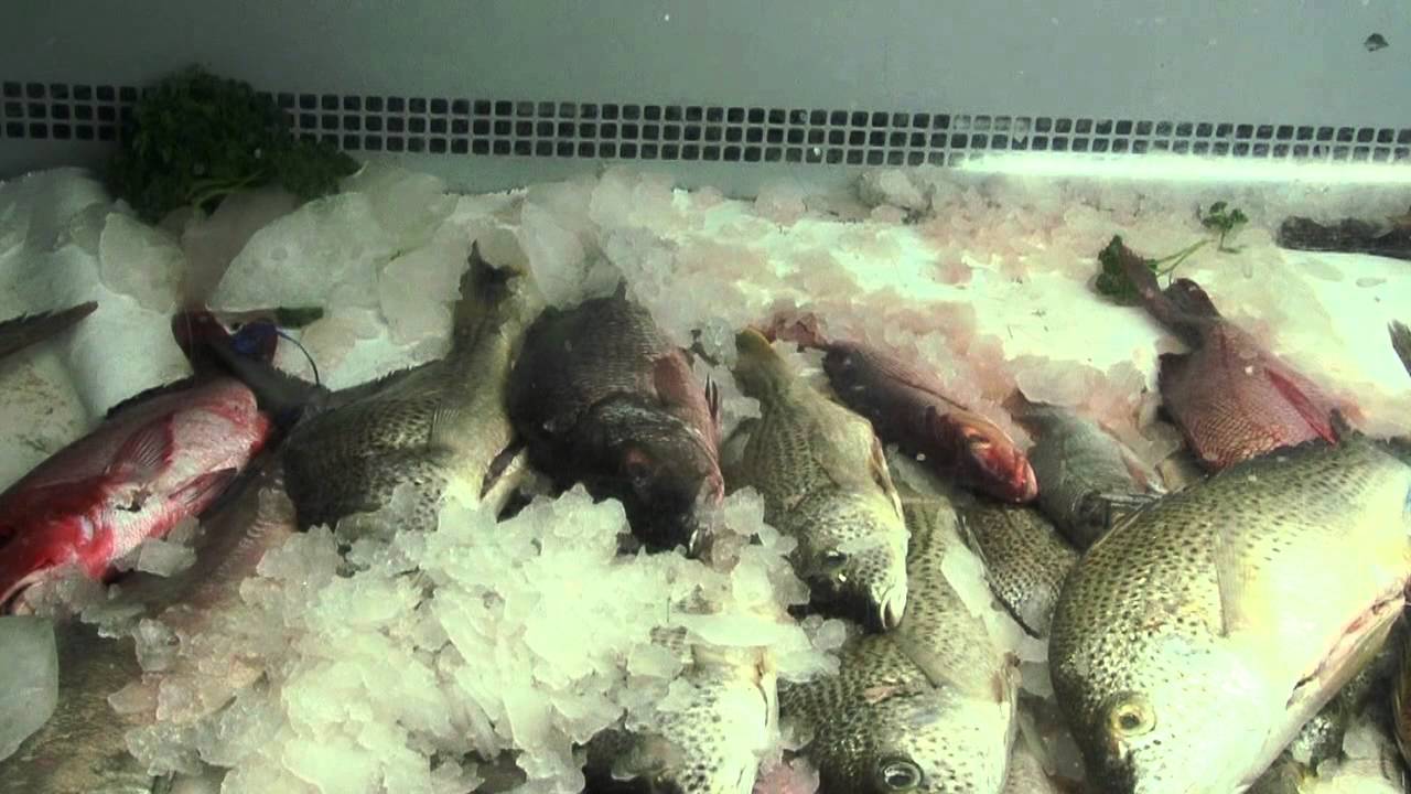 Module 5: Good practice for fish consumers