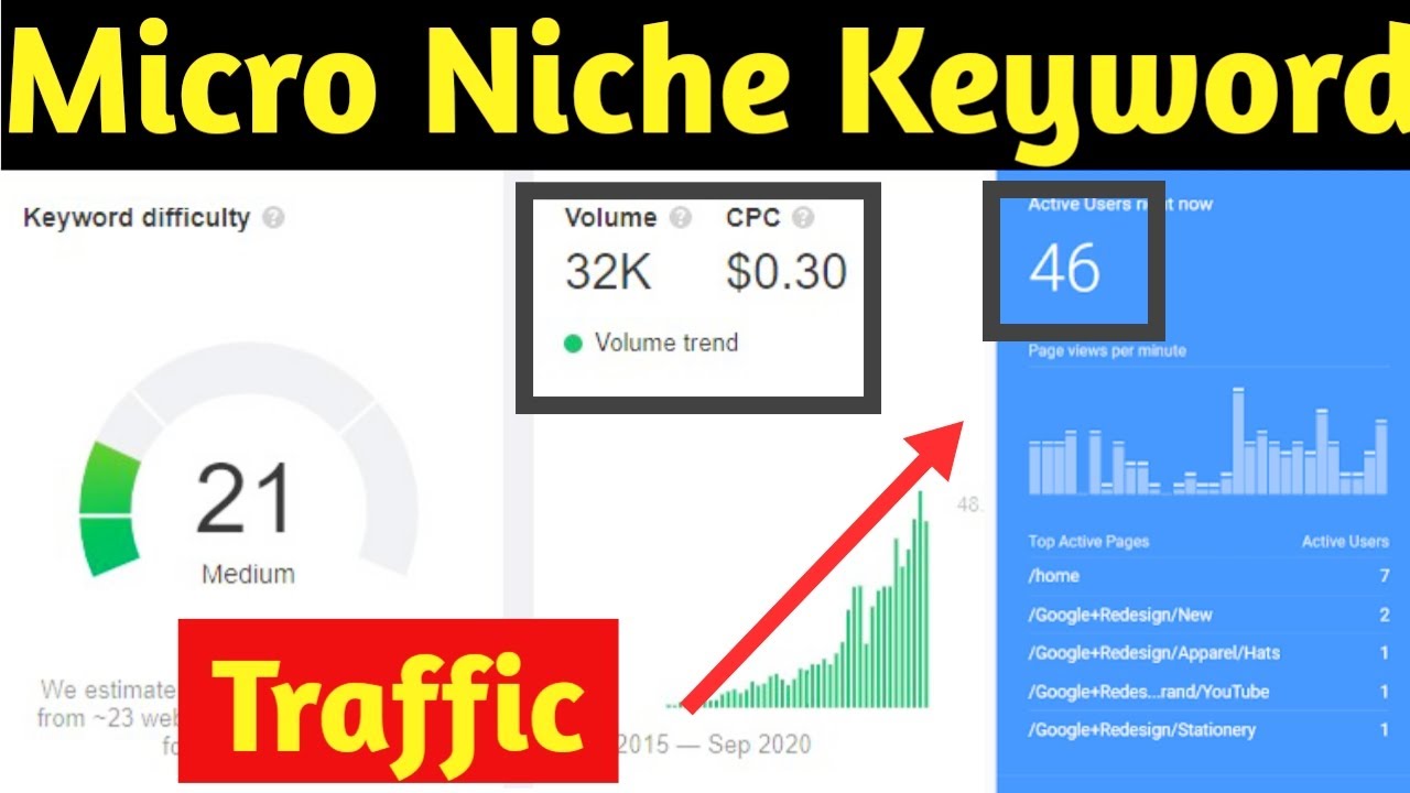 Make More Money With Micro Niche Keywords | Micro Miche Ideas